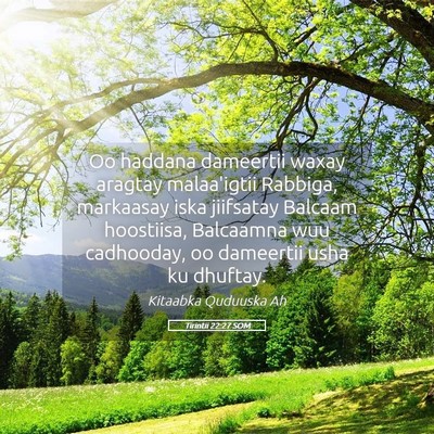 Picture 05 - Tirintii 22:27 SOM - Oo haddana dameertii waxay aragtay malaa'igtii - Bible Verse Picture