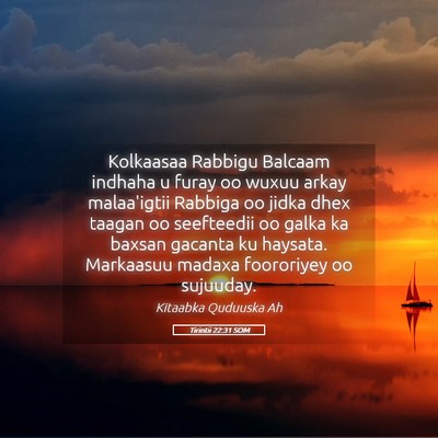 Picture 05 - Tirintii 22:31 SOM - Kolkaasaa Rabbigu Balcaam indhaha u furay oo - Bible Verse Picture