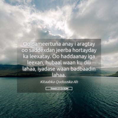 Picture 05 - Tirintii 22:33 SOM - Oo dameertuna anay i aragtay oo saddexdan jeerba - Bible Verse Picture