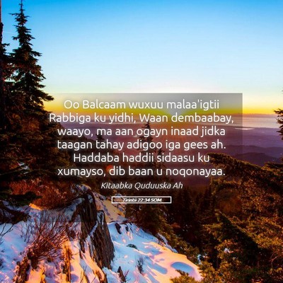 Picture 05 - Tirintii 22:34 SOM - Oo Balcaam wuxuu malaa'igtii Rabbiga ku yidhi, - Bible Verse Picture