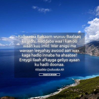 Picture 05 - Tirintii 22:38 SOM - Kolkaasaa Balcaam wuxuu Baalaaq ku yidhi, Haddaba - Bible Verse Picture