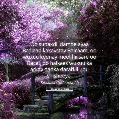 Picture 05 - Tirintii 22:41 SOM - Oo subaxdii dambe ayaa Baalaaq kaxaystay Balcaam, - Bible Verse Picture