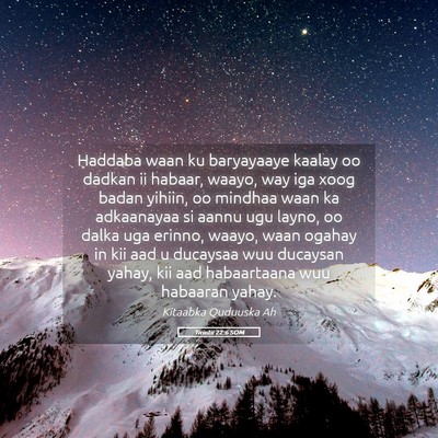 Picture 05 - Tirintii 22:6 SOM - Haddaba waan ku baryayaaye kaalay oo dadkan ii - Bible Verse Picture