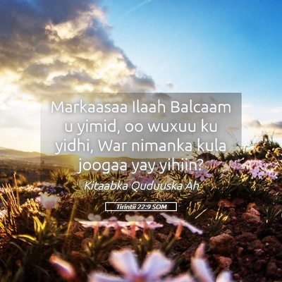 Picture 05 - Tirintii 22:9 SOM - Markaasaa Ilaah Balcaam u yimid, oo wuxuu ku - Bible Verse Picture