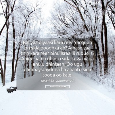 Picture 05 - Tirintii 23:10 SOM - Bal yaa qiyaasi kara reer Yacquub oo sida boodhka - Bible Verse Picture