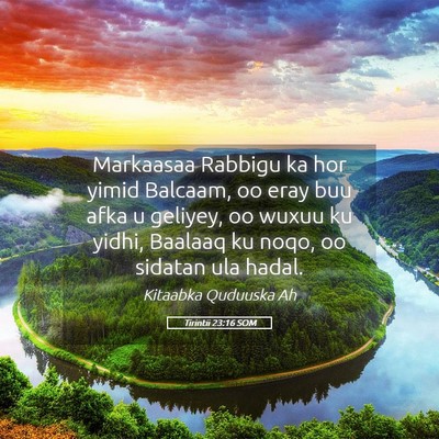 Picture 05 - Tirintii 23:16 SOM - Markaasaa Rabbigu ka hor yimid Balcaam, oo eray - Bible Verse Picture