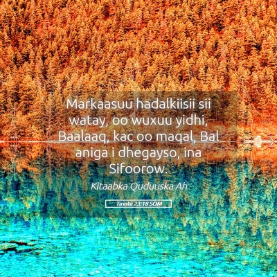 Picture 05 - Tirintii 23:18 SOM - Markaasuu hadalkiisii sii watay, oo wuxuu yidhi, - Bible Verse Picture
