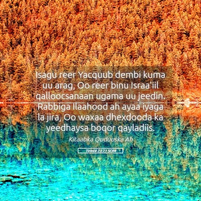 Picture 05 - Tirintii 23:21 SOM - Isagu reer Yacquub dembi kuma uu arag, Oo reer - Bible Verse Picture