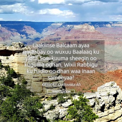 Picture 05 - Tirintii 23:26 SOM - Laakiinse Balcaam ayaa jawaabay oo wuxuu Baalaaq - Bible Verse Picture