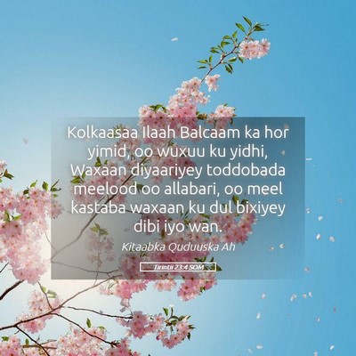 Picture 05 - Tirintii 23:4 SOM - Kolkaasaa Ilaah Balcaam ka hor yimid, oo wuxuu ku - Bible Verse Picture