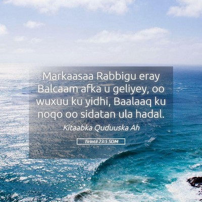 Picture 05 - Tirintii 23:5 SOM - Markaasaa Rabbigu eray Balcaam afka u geliyey, oo - Bible Verse Picture