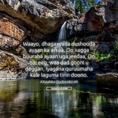 Picture 05 - Tirintii 23:9 SOM - Waayo, dhagaxyada dushooda ayaan ka arkaa, Oo - Bible Verse Picture