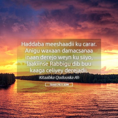 Picture 05 - Tirintii 24:11 SOM - Haddaba meeshaadii ku carar. Anigu waxaan - Bible Verse Picture