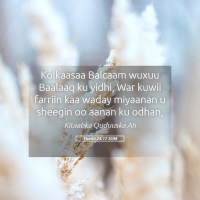 Picture 05 - Tirintii 24:12 SOM - Kolkaasaa Balcaam wuxuu Baalaaq ku yidhi, War - Bible Verse Picture