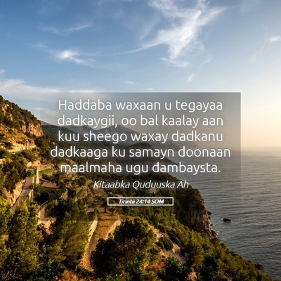 Picture 05 - Tirintii 24:14 SOM - Haddaba waxaan u tegayaa dadkaygii, oo bal kaalay - Bible Verse Picture