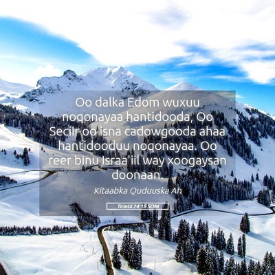 Picture 05 - Tirintii 24:18 SOM - Oo dalka Edom wuxuu noqonayaa hantidooda, Oo - Bible Verse Picture