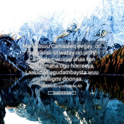 Picture 05 - Tirintii 24:20 SOM - Markaasuu Camaaleq eegay, oo hadalkiisii sii - Bible Verse Picture