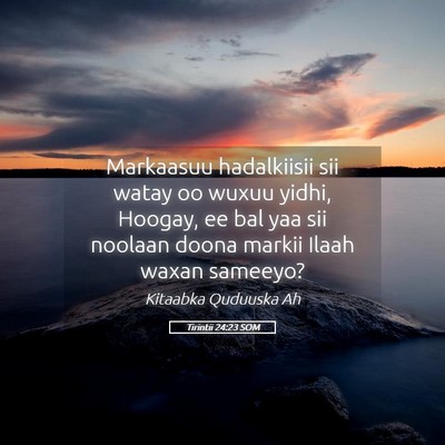Picture 05 - Tirintii 24:23 SOM - Markaasuu hadalkiisii sii watay oo wuxuu yidhi, - Bible Verse Picture