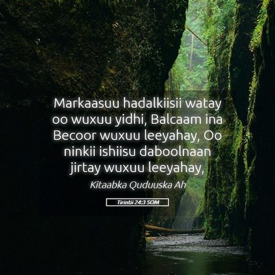 Picture 05 - Tirintii 24:3 SOM - Markaasuu hadalkiisii watay oo wuxuu yidhi, - Bible Verse Picture