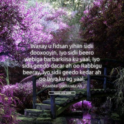 Picture 05 - Tirintii 24:6 SOM - Waxay u fidsan yihiin sidii dooxooyin, Iyo sidii - Bible Verse Picture