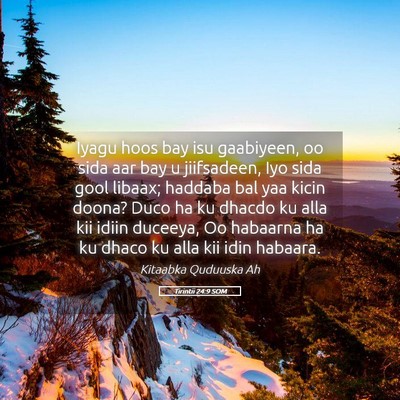 Picture 05 - Tirintii 24:9 SOM - Iyagu hoos bay isu gaabiyeen, oo sida aar bay u - Bible Verse Picture