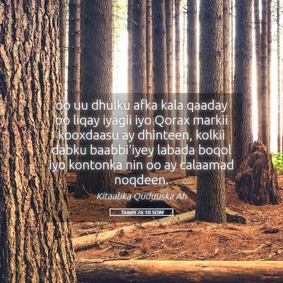 Picture 05 - Tirintii 26:10 SOM - oo uu dhulku afka kala qaaday oo liqay iyagii iyo - Bible Verse Picture