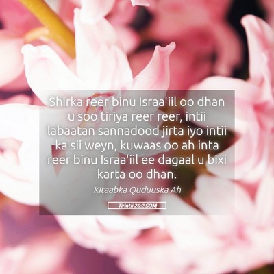 Picture 05 - Tirintii 26:2 SOM - Shirka reer binu Israa'iil oo dhan u soo tiriya - Bible Verse Picture