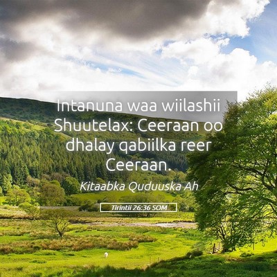 Picture 05 - Tirintii 26:36 SOM - Intanuna waa wiilashii Shuutelax: Ceeraan oo - Bible Verse Picture