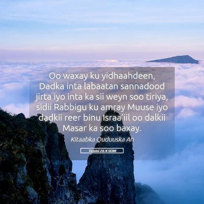 Picture 05 - Tirintii 26:4 SOM - Oo waxay ku yidhaahdeen, Dadka inta labaatan - Bible Verse Picture