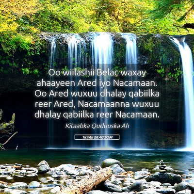 Picture 05 - Tirintii 26:40 SOM - Oo wiilashii Belac waxay ahaayeen Ared iyo - Bible Verse Picture