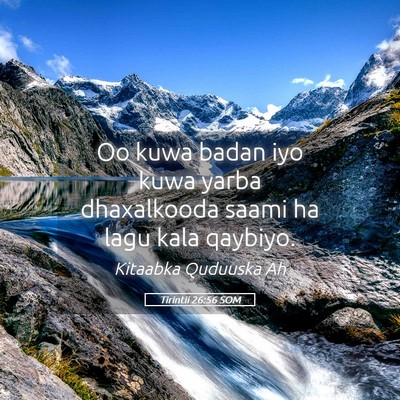 Picture 05 - Tirintii 26:56 SOM - Oo kuwa badan iyo kuwa yarba dhaxalkooda saami ha - Bible Verse Picture