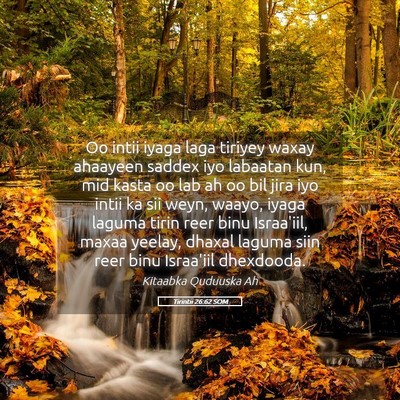 Picture 05 - Tirintii 26:62 SOM - Oo intii iyaga laga tiriyey waxay ahaayeen saddex - Bible Verse Picture