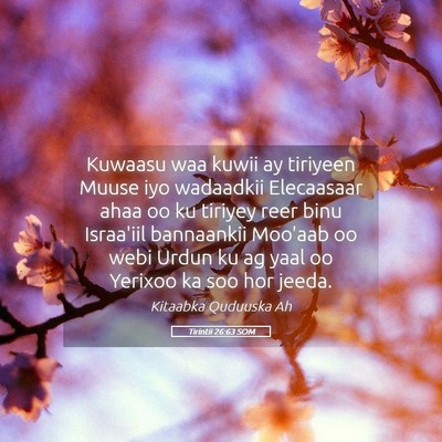 Picture 05 - Tirintii 26:63 SOM - Kuwaasu waa kuwii ay tiriyeen Muuse iyo wadaadkii - Bible Verse Picture