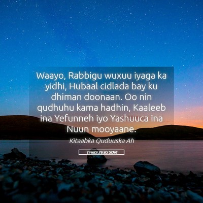 Picture 05 - Tirintii 26:65 SOM - Waayo, Rabbigu wuxuu iyaga ka yidhi, Hubaal - Bible Verse Picture