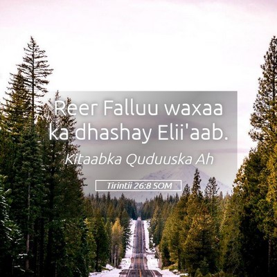 Picture 05 - Tirintii 26:8 SOM - Reer Falluu waxaa ka dhashay - Bible Verse Picture