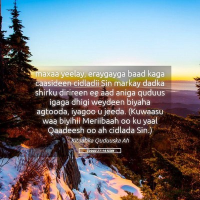 Picture 05 - Tirintii 27:14 SOM - maxaa yeelay, eraygayga baad kaga caasideen - Bible Verse Picture