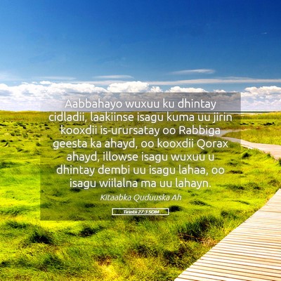 Picture 05 - Tirintii 27:3 SOM - Aabbahayo wuxuu ku dhintay cidladii, laakiinse - Bible Verse Picture