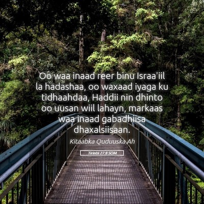 Picture 05 - Tirintii 27:8 SOM - Oo waa inaad reer binu Israa'iil la hadashaa, oo - Bible Verse Picture
