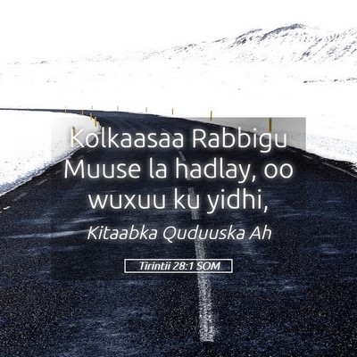 Picture 05 - Tirintii 28:1 SOM - Kolkaasaa Rabbigu Muuse la hadlay, oo wuxuu ku - Bible Verse Picture