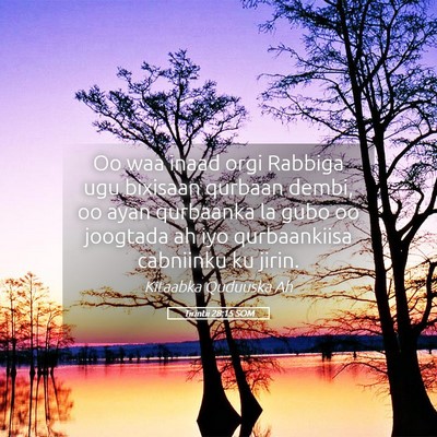 Picture 05 - Tirintii 28:15 SOM - Oo waa inaad orgi Rabbiga ugu bixisaan qurbaan - Bible Verse Picture