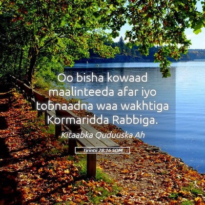 Picture 05 - Tirintii 28:16 SOM - Oo bisha kowaad maalinteeda afar iyo tobnaadna - Bible Verse Picture