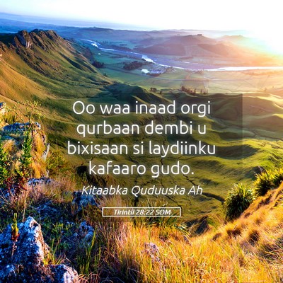 Picture 05 - Tirintii 28:22 SOM - Oo waa inaad orgi qurbaan dembi u bixisaan si - Bible Verse Picture