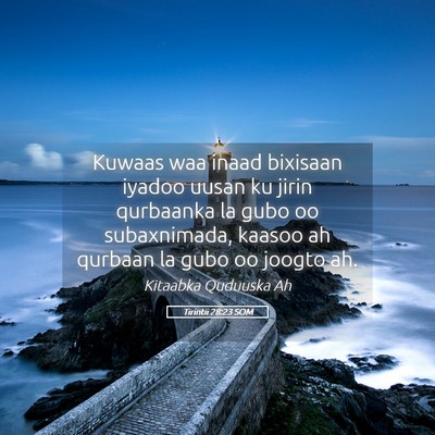 Picture 05 - Tirintii 28:23 SOM - Kuwaas waa inaad bixisaan iyadoo uusan ku jirin - Bible Verse Picture