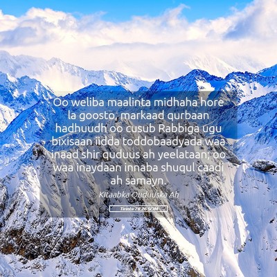 Picture 05 - Tirintii 28:26 SOM - Oo weliba maalinta midhaha hore la goosto, - Bible Verse Picture
