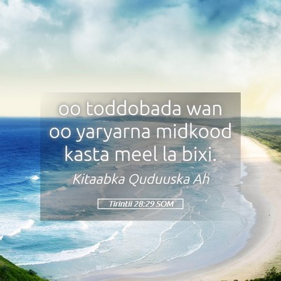 Picture 05 - Tirintii 28:29 SOM - oo toddobada wan oo yaryarna midkood kasta meel - Bible Verse Picture
