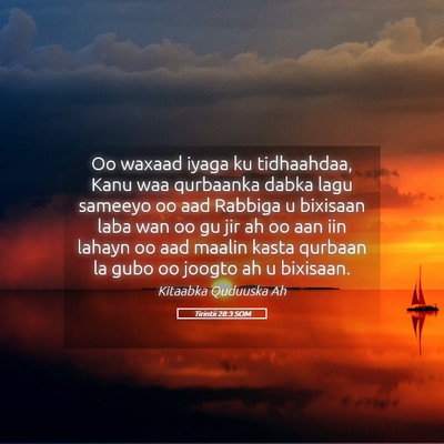Picture 05 - Tirintii 28:3 SOM - Oo waxaad iyaga ku tidhaahdaa, Kanu waa qurbaanka - Bible Verse Picture