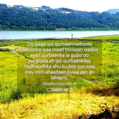 Picture 05 - Tirintii 28:31 SOM - Oo iyaga iyo qurbaannadooda cabniinka waa inaad - Bible Verse Picture