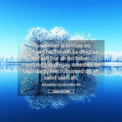 Picture 05 - Tirintii 28:5 SOM - Oo waxaad la bixisaa oo qurbaan hadhuudh ka - Bible Verse Picture
