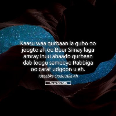 Picture 05 - Tirintii 28:6 SOM - Kaasu waa qurbaan la gubo oo joogto ah oo Buur - Bible Verse Picture