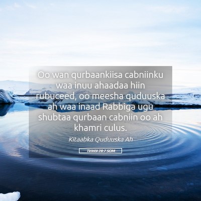 Picture 05 - Tirintii 28:7 SOM - Oo wan qurbaankiisa cabniinku waa inuu ahaadaa - Bible Verse Picture